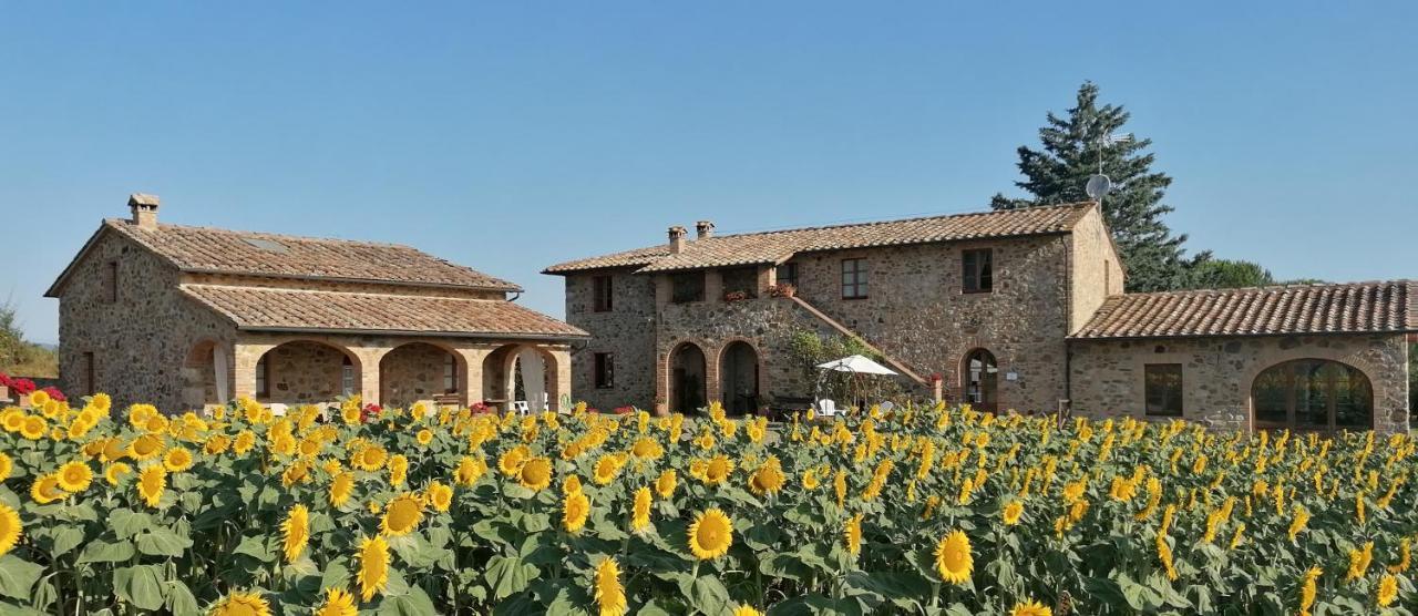 Casetta Della Pina Monticiano Extérieur photo